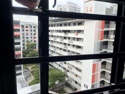 Blk 36 Circuit Road (Geylang), HDB 3 Rooms #591392231